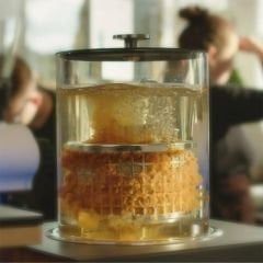 Baby Hardtank Cold Brew